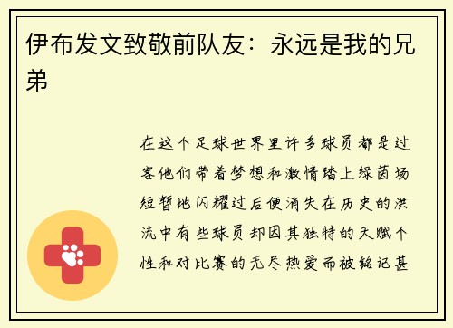伊布发文致敬前队友：永远是我的兄弟